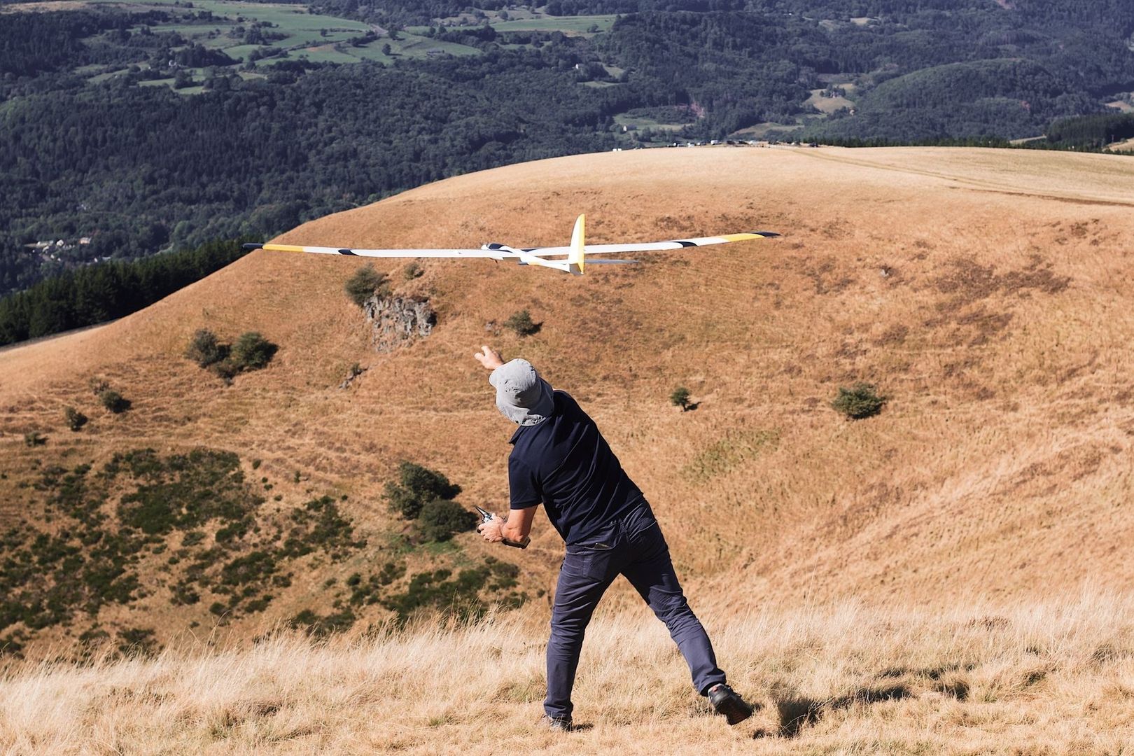 Modellsegler fliegt vor bewaldeter Berglandschaft über einer Wiese